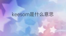 keesom是什么意思 keesom的中文翻译、读音、例句