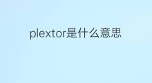 plextor是什么意思 plextor的中文翻译、读音、例句