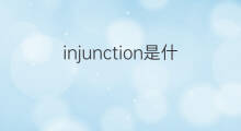 injunction是什么意思 injunction的中文翻译、读音、例句