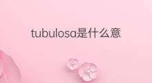 tubulosa是什么意思 tubulosa的中文翻译、读音、例句
