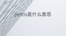 pettis是什么意思 pettis的中文翻译、读音、例句