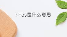hhos是什么意思 hhos的中文翻译、读音、例句