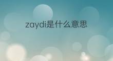 zaydi是什么意思 zaydi的中文翻译、读音、例句