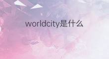 worldcity是什么意思 worldcity的中文翻译、读音、例句