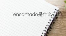 encantado是什么意思 encantado的中文翻译、读音、例句