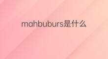 mahbuburs是什么意思 mahbuburs的中文翻译、读音、例句