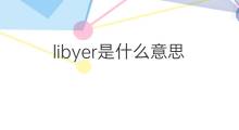 libyer是什么意思 libyer的中文翻译、读音、例句