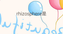 rhizosphere是什么意思 rhizosphere的中文翻译、读音、例句