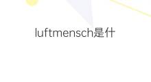 luftmensch是什么意思 luftmensch的中文翻译、读音、例句