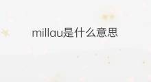 millau是什么意思 millau的翻译、读音、例句、中文解释