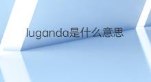luganda是什么意思 luganda的中文翻译、读音、例句