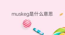 muskeg是什么意思 muskeg的中文翻译、读音、例句