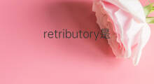 retributory是什么意思 retributory的中文翻译、读音、例句