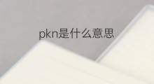 pkn是什么意思 pkn的中文翻译、读音、例句