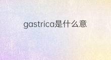 gastrica是什么意思 gastrica的中文翻译、读音、例句
