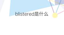 blistered是什么意思 blistered的中文翻译、读音、例句