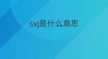 sxj是什么意思 sxj的中文翻译、读音、例句