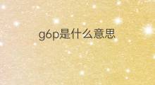 g6p是什么意思 g6p的中文翻译、读音、例句