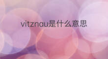 vitznau是什么意思 vitznau的中文翻译、读音、例句