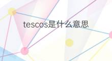 tescos是什么意思 tescos的中文翻译、读音、例句