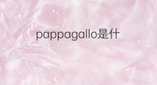 pappagallo是什么意思 pappagallo的中文翻译、读音、例句