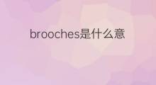 brooches是什么意思 brooches的中文翻译、读音、例句