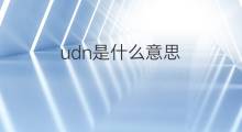 udn是什么意思 udn的中文翻译、读音、例句