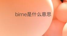 birne是什么意思 birne的中文翻译、读音、例句