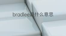 bradlee是什么意思 bradlee的中文翻译、读音、例句