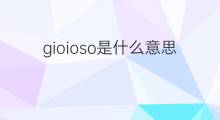 gioioso是什么意思 gioioso的中文翻译、读音、例句