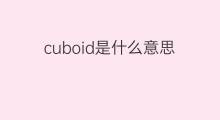 cuboid是什么意思 cuboid的中文翻译、读音、例句
