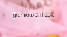 grumiaux是什么意思 grumiaux的中文翻译、读音、例句