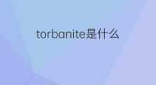 torbanite是什么意思 torbanite的中文翻译、读音、例句