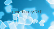 montbarrey是什么意思 montbarrey的中文翻译、读音、例句
