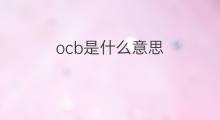 ocb是什么意思 ocb的中文翻译、读音、例句