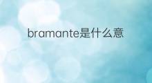 bramante是什么意思 bramante的中文翻译、读音、例句