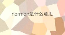 norman是什么意思 norman的中文翻译、读音、例句