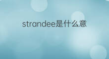 strandee是什么意思 strandee的中文翻译、读音、例句