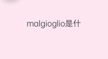 malgioglio是什么意思 malgioglio的翻译、读音、例句、中文解释