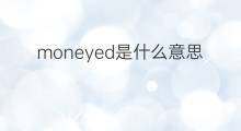 moneyed是什么意思 moneyed的翻译、读音、例句、中文解释
