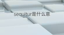 sequitur是什么意思 sequitur的中文翻译、读音、例句