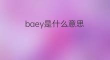 baey是什么意思 baey的中文翻译、读音、例句