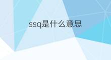 ssq是什么意思 ssq的翻译、读音、例句、中文解释