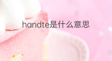 handte是什么意思 handte的中文翻译、读音、例句