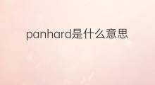 panhard是什么意思 英文名panhard的翻译、发音、来源
