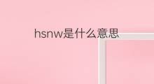 hsnw是什么意思 hsnw的中文翻译、读音、例句