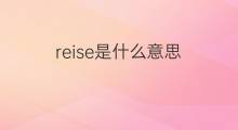 reise是什么意思 reise的中文翻译、读音、例句