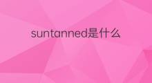suntanned是什么意思 suntanned的中文翻译、读音、例句