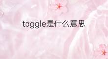 taggle是什么意思 taggle的中文翻译、读音、例句