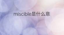 miscible是什么意思 miscible的中文翻译、读音、例句